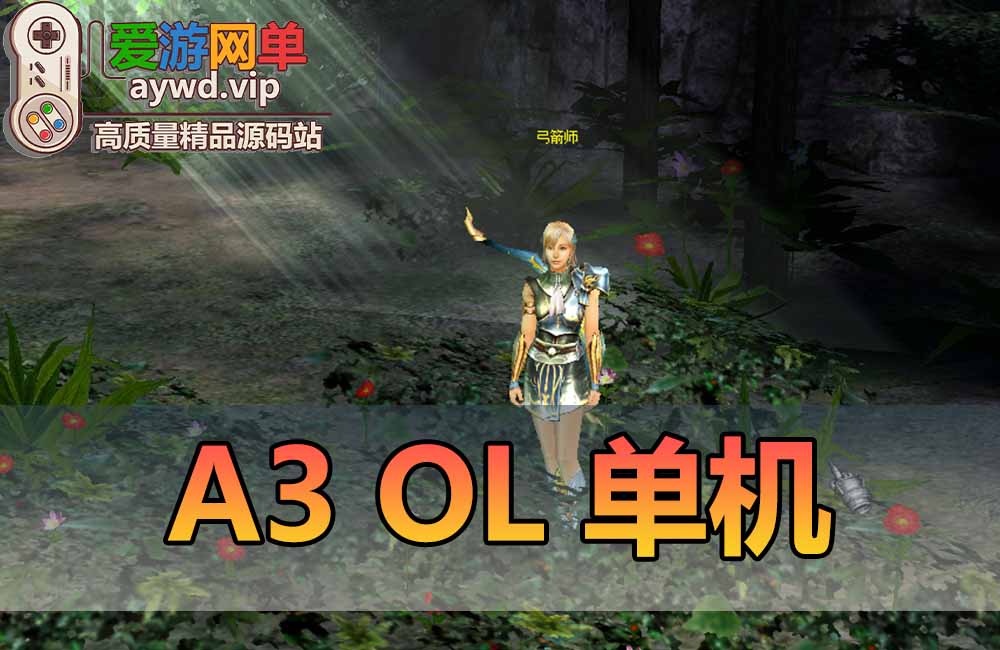 A3OL单机版四职业送GM攻略韩国经典复古网游单机219虚拟机一键端