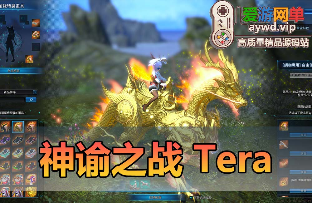爱游网单亲测【神谕之战单机版】最新更新整理V4.8无绑定限制 优化TERA 带网页GM后台 物品命令ID 完整任务剧情可直刷BOSS等 虚拟机一键端视频安装教程
